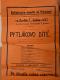 Vitiněves, SDO, Pytlákovo dítě - plakát, 1931