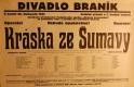 Praha-Podolí, Občané dvorečtí, Kráska ze Šumavy - plakát, 1933