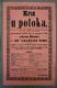 Miletín, Erben, Kříž u potoka - plakát, 1882
