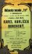 Dětenice, Občanská beseda Tyl, Karel Havlíček Borovský - plakát, 1905
