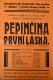 Dolní Dobrá Voda, Rieger, Pepičina první láska - plakát, 1928