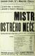 Žiželice, Tyl, Národní souručenství, Mistr ostrého meče - plakát, 1941