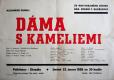 České Budějovice, Krajský ústav národního zdraví, Dáma s kameliemi – plakát, 1956