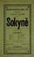 Bakov nad Jizerou, DOS Tyl, Sokyně (Andrlík) - plakát, 1886