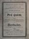 Choltice, Spolek divadelních ochotníků, Před sjezdem - Herkules - plakát, 1896