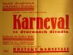 Praha-Braník, SDO, Karneval - plakát, 1931