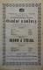 Polička, Ochotníci, Osudné námluvy - Básník a štolba - plakát, 1873