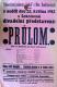 Moravské Budějovice, Sokol, Průlom - plakát, 1913