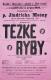 Rakovník, Divadlo v Rakovníku - Ochotnická jednota Tyl, Těžké ryby - plakát , 1902