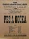 Polička, Ochotníci, Pes a kočka - plakát, 1924