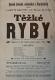 Pardubice, SDO, Těžké ryby - plakát, 1899
