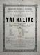 Chrudim, Spolek pro výzdobu děkalského schámu Páně, Tři halíře - plakát, 1893