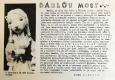 Chrudim, Loutkářská Chrudim, Zpravodaj č. 1, 1961