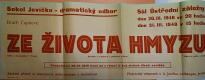 Jevíčko, Sokol, Ze života hmyzu - plakát, 1948