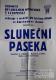 Litomyšl, JDO, Sluneční paseka, plakát, 1946