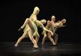 Praha, Taneční divadlo BUFO, Ze života obtížného hmyzu, CP Jiráskův Hronov 2016
