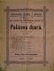 Radim, Spolek divadelních ochotníků, Palíčova dcera - plakát, 1880