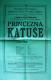 Kostelec, Obecná škola, Katuše, pyšná princezna - plakát, 1925