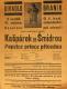 Praha-Braník, SDO, Kašpárek se Šmidrou Popelce prince přivedou - plakát, 1932