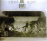 Poříčí u Litomyšle, opona, autor opony Václav Boštík, 1937