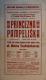 Pardubice, SDO, Princezna Pampeliška - plakát, 1914