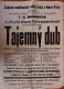 Nová Paka, Měšťanská škola dívčí, Tajemný dub - plakát, 1930