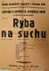 Široký Důl, SDO, Ryba na suchu - plakát, 1948