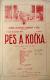 Osík, Ochotníci, Pes a kočka - plakát, 1924