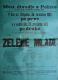 Polička, Ochotníci, Zelené mládí - plakát, 1903