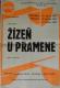 Havlíčkův Brod, Adivadlo, Žízeň u pramene - plakát, 1987