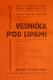 Vysoké Veselí, Hasiči, Vesnička pod lipami - plakát, 1938