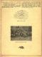 Lesní divadlo Krč, sborník Na paměť desetiletého založení, 1922