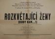 Kutná Hora, Tyl-Dům osvěty, Rozkvétající ženy (Kudy kam) - plakát, 1955