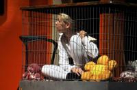 Pardubice, Exil, Poutníci do Lhasy, CP Divadelní Piknik Most 2025