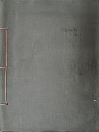 Hradec Králové, Klicpera, Fotoalbum, Fidlovačka, 1917