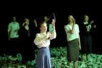 Německo-polsko-český div.projekt, Ozvěny minulosti, CP Jiráskův Hronov 2012