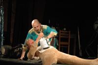 Praha, Ojebad, 2. díl, CP Šrámkův Písek 2022