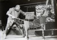 Blansko, Blanenské divadlo, Osel bez stínu, 1994