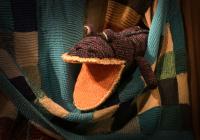 Turnov, ZUŠ, U kafíčka Akademie III. Věku, Babičky a Bráška králík, CP Loutkářská Chrudim 2019