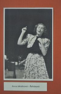 Lysá nad Labem, výstava DIVADLO JE PODIVUHODNÁ VĚC..., Tyl, Soubor mladých, Srdce na uzdě, výstavní panel 2018