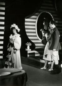 Znojmo, Rotunda, Každý něco pro vlast, 1963