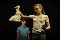 Plzeň, SZUŠ Trnka, Kastrol, Králíci, CP Dětská scéna Svitavy 2018