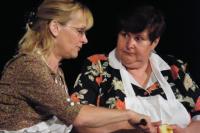 Újezd u Brna, Městské ochotnické Tylovo divadlo, Naše městečko, Boleradická sešlost 2009