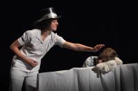 Olomouc, ZUŠ Žerotín, Bertíci, Prolhaný Henry, CP Dětská scéna Svitavy 2012