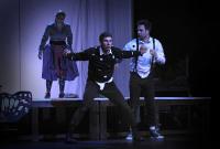 Plzeň, Divadlo J. K. Tyla, Tobiáš Lolness, CP Popelka Rakovník 2018