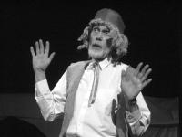 Libice nad Cidlinou, Vojan, Don Quijote de la...od nás, 2009