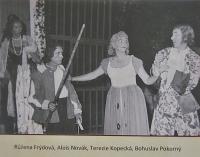 Lysá nad Labem, výstava DIVADLO JE PODIVUHODNÁ VĚC..., výstavní panel, 2018