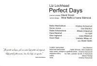 Plzeň, Skoronarváno při DS Žumbera, Perfect Days – program, 2007