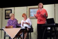 Žlutice, Žlutičan, Možná příjde i primátor, KP Žlutické divadelní léto 2022