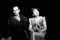 Zbraslav, Zbraslavská kulturní společnost, Zdaleka ne tak ošklivá, jak se původně zdálo, 1993